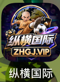 纵横国际